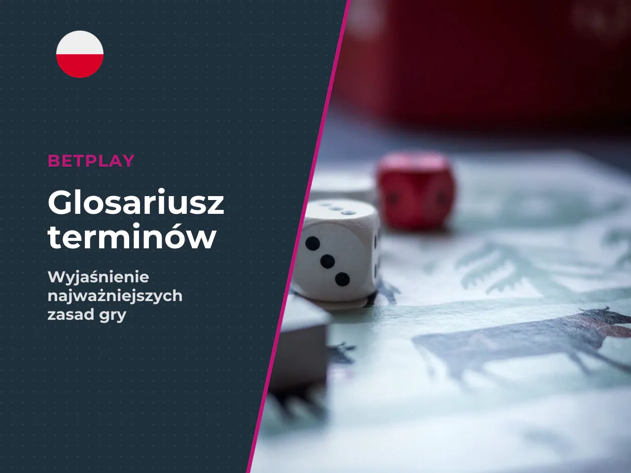Słownik pojęć używanych w artykule