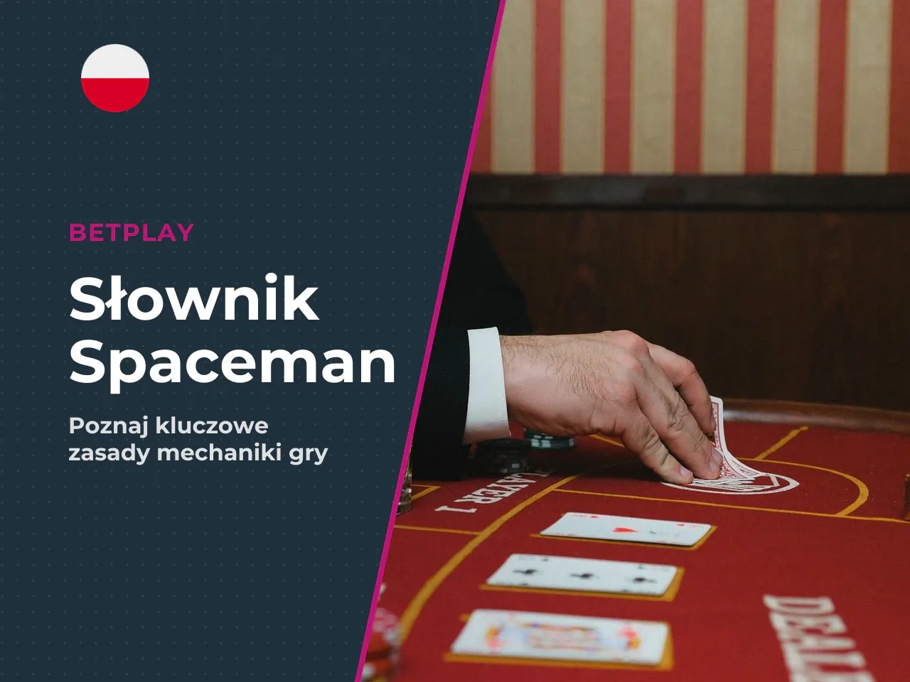Słownik terminów Spaceman